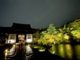 真夏の夜の雨の高台寺