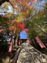 京都の歩き方〜毘沙門堂〜