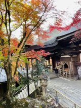 京都の歩き方〜滋賀県石山寺〜