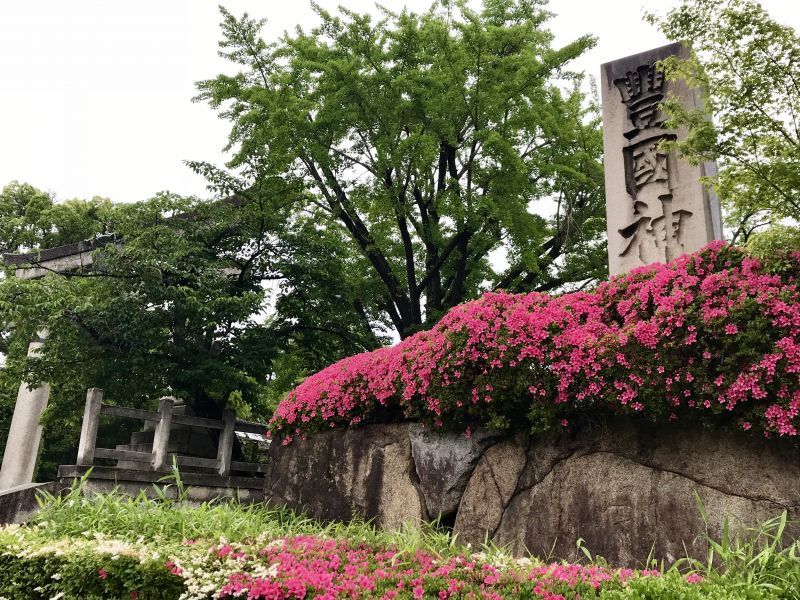 豊国神社前のつつじ