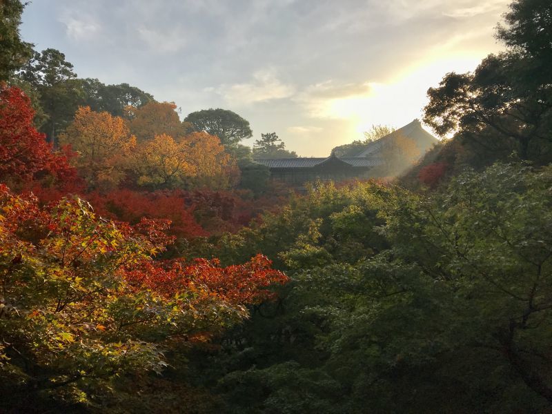 秋の紅葉の京都
