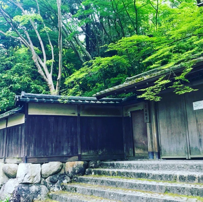 京都の歩き方〜青楓の瑠璃光院〜