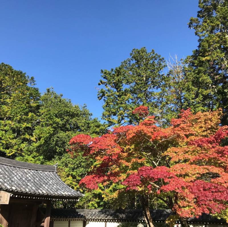 京都の歩き方〜嵐山 松尾山〜