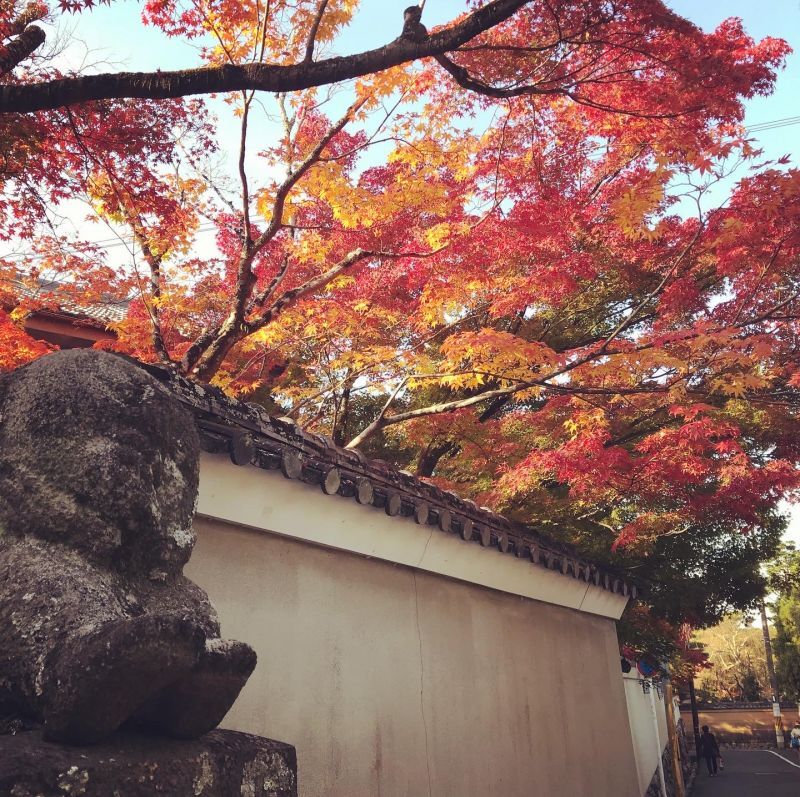 京都の歩き方〜南禅寺の紅葉〜