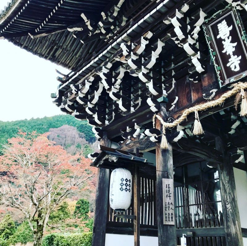 京都の歩き方〜善峯寺〜