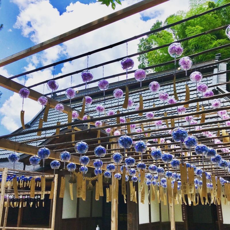 京都の歩き方〜宇治田原 正寿院〜