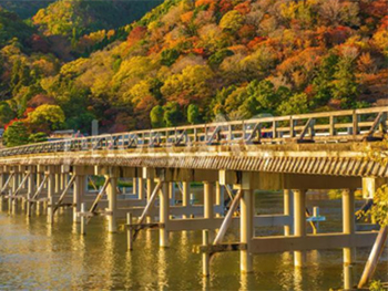 嵐山昇龍苑 箸専門店おおした